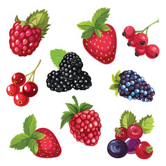 Berries, illustration, background, vector, fresh, fruits, bright, colors, summer