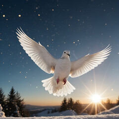 Obraz premium dove in the sky