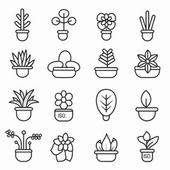 a collection of different types of plants