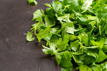 Garden chopped fresh parsley with green fragrant leaves on a board close up. Culinary raw ingredient