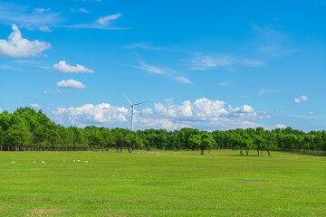 Fototapeta premium Windmill in the woods and lawn of Duerbot Mongolian Autonomous County, Daqing City, Heilongjiang Province