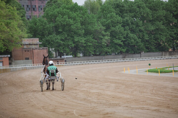 Fototapeta premium A jockey and his horse race on the Hippodrome track.