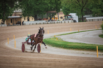 Fototapeta premium A jockey and his horse race on the Hippodrome track.