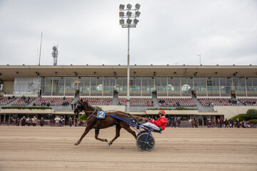 A jockey and his horse race on the Hippodrome track.