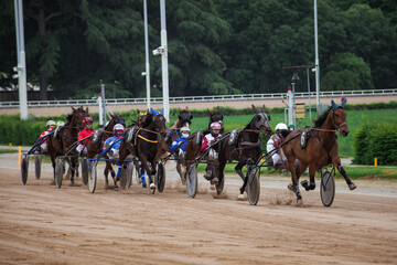 Group of jockeys race on the track of the Bologna Hippodrome