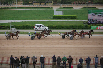 Group of jockeys race on the track of the Bologna Hippodrome © Max