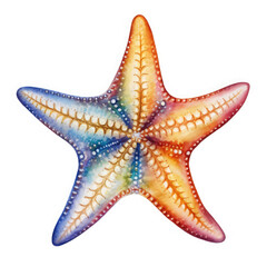 Watercolor Popular Starfish, clipart Illustration, Generative Ai