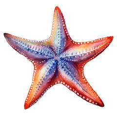 Watercolor Popular Starfish, clipart Illustration, Generative Ai