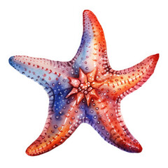 Watercolor Popular Starfish, clipart Illustration, Generative Ai