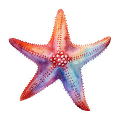 Watercolor Popular Starfish, clipart Illustration, Generative Ai