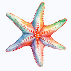 Watercolor Popular Starfish, clipart Illustration, Generative Ai