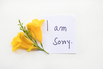 i am sorry message card handwriting with yellow flowers arrangement flat lay postcard style on...
