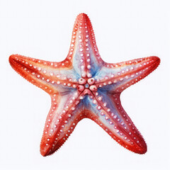 Watercolor Popular Starfish, clipart Illustration, Generative Ai