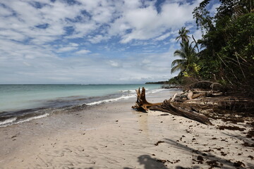 Fototapeta na wymiar Caribbean coastal landscape of Costa Rica 