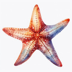 Watercolor Popular Starfish, clipart Illustration, Generative Ai