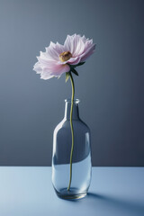 一輪の花, 花瓶, 花, 静物, 机, 植物, フラワー, Single Flower, Vase, Flower, Still Life, Desk, Plants