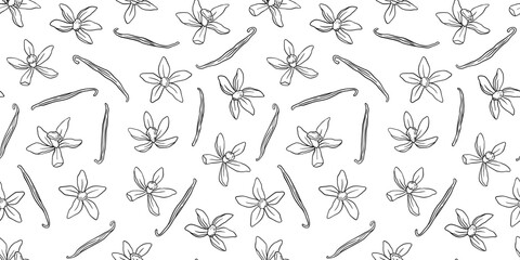 Seamless pattern with vanilla pods and plant. Vector outline flowers on white