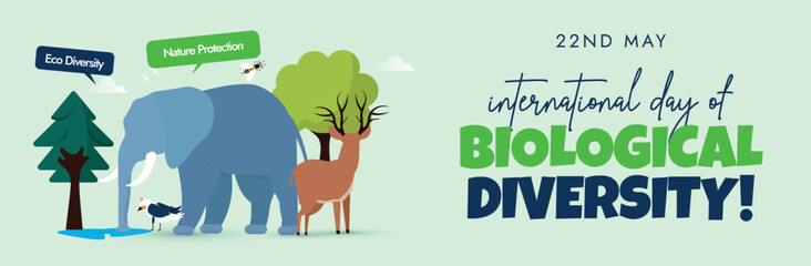 International day of Biological diversity cover banner. 22nd May 2024 International biodiversity day celebration cover banner with elephant, deer, flowers, trees, birds on light green background.