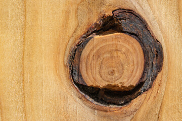 Wooden board with a knothole and annual rings in the middle