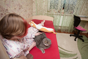 A girl in sleeping clothes sits on a bed and hugs her pet, a Scottish fold cat. An image about...