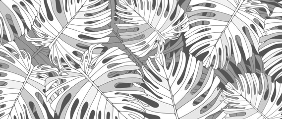 Monochrome gray botanical vector background with monstera leaves. Tropical black and white background, wallpaper, poster, banner or cover design.