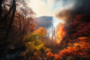 火, 炎, 木, 森, 火事, 火災, 山火事, 災害, fire, flames, trees, forest, wildfire, disaster