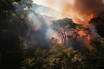 火, 炎, 木, 森, 火事, 火災, 山火事, 災害, fire, flames, trees, forest, wildfire, disaster