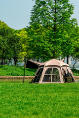 Fototapeta premium Outdoor Camping Experience Amidst Lush Greenery