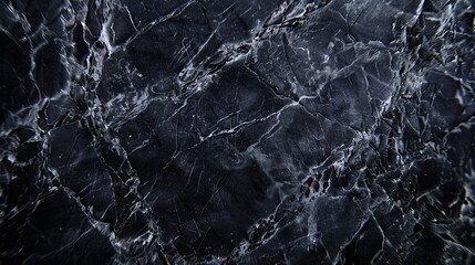 Sophisticated Luxury of Black Marble with White Veining