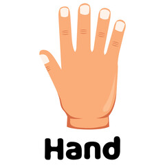 hand vector icon illustration