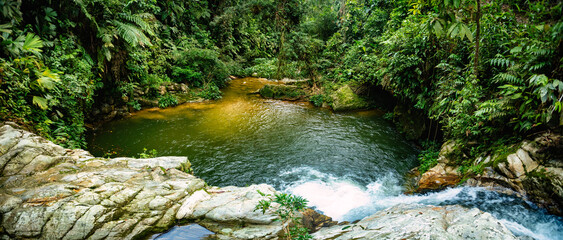 Small natural pond in jungle. Hard trek to hidden ancient ruins of Tayrona civilization Ciudad...