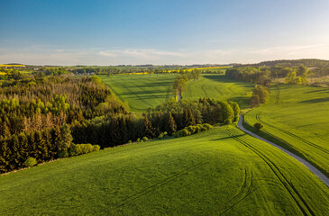 Drone flies over countryside with green wheat field. Hilly area with forest. Warm sunny spring day....