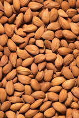 A close up of a pile of almonds without shells