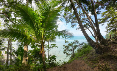 View through palm trees to gently breaking waves on the sea. A harmonious scene that conveys calm...
