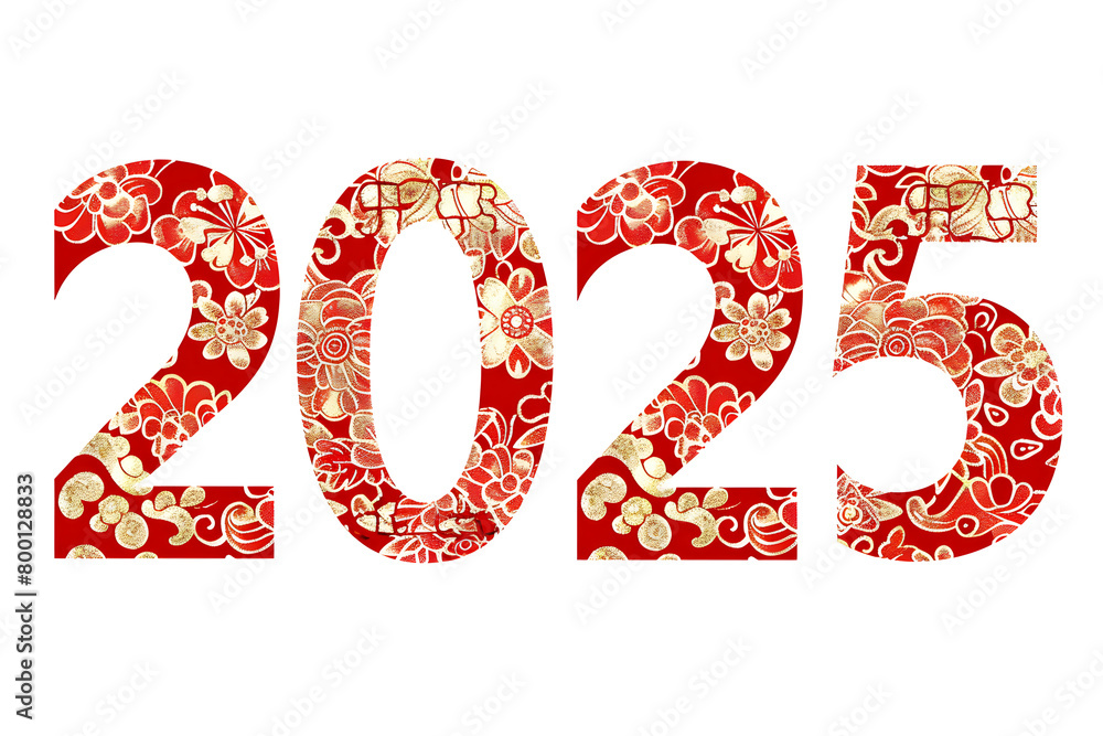 Poster the year is 2025 and it is a chinese new year. the year is written in red and it is surrounded by dr