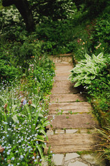 海の上にそびえる山の公園