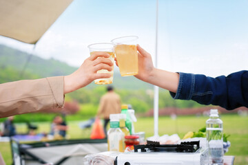 Two friends toasting with beer at a picnic