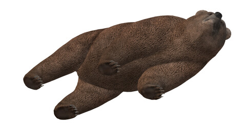 Brown bear isolated on a Transparent Background