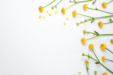 Spring grass and yellow flowers creative flat lay on white paper. Botanical background. Yellow wild...