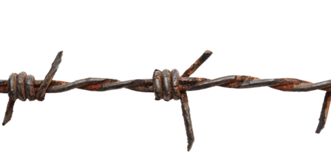 closeup of barbed wire isolated on white or transparent png