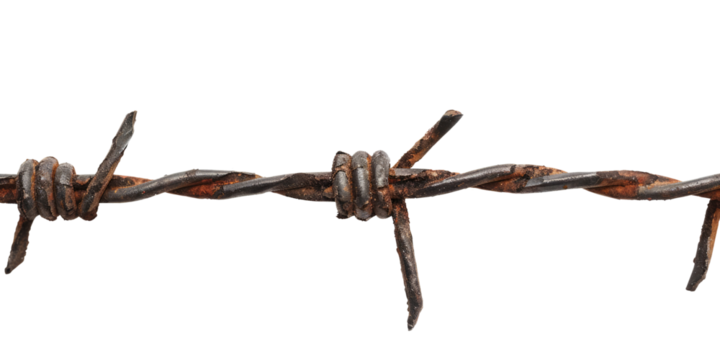 closeup of barbed wire isolated on white or transparent png