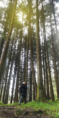 Obraz premium Forest therapy. A girl stands near a tree doing breathing practice and mentally talking to nature. Communication with the coniferous forest and unity with nature