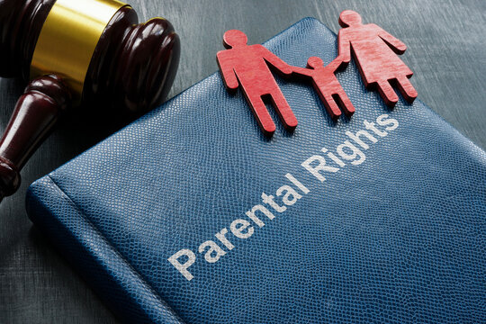 Book parental rights, figurines and gavel.