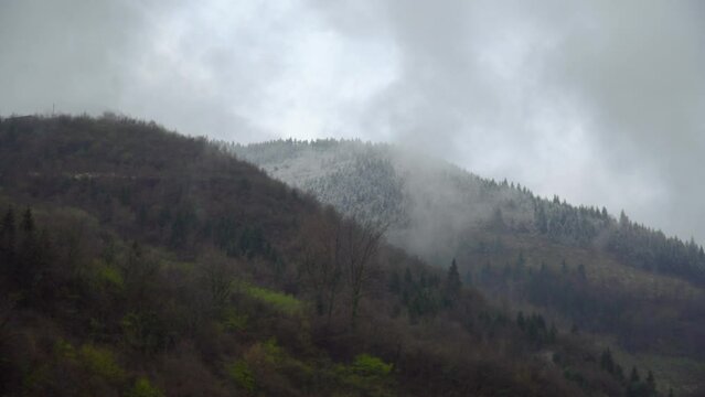 Magnificent view of the tree-covered mountain and the fog above it