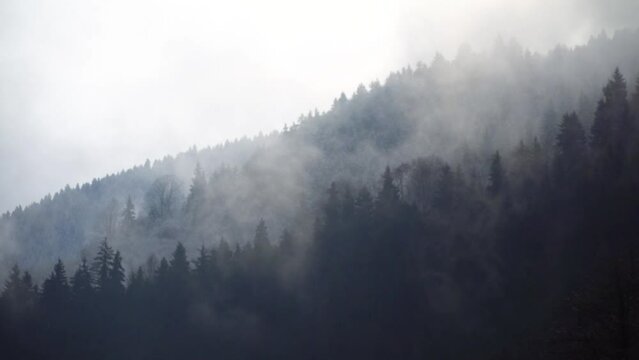 Magnificent view of the tree-covered mountain and the fog above it