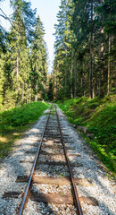 Oravska lesna zeleznica railway track above Oravska Lesna in Slovakia