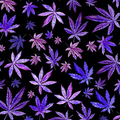 Violet, purple cannabis pattern on black background. Hand drawn watercolor illustration, medicine herb plant