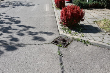 Street stormwater drain with grill on top.