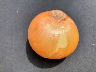 Gold onion vegetable. yellow onion isolated on black background close up. Whole golden onion bulb. Full depth of field. With clipping path.
