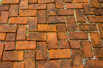 Garden brick walk way. Outdoor pavement